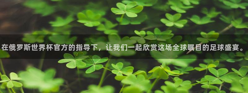 预选赛世界杯:在俄罗斯世界杯官方的指导下,让我们一起欣赏这场全球瞩目的足球盛宴。