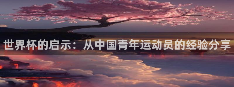 2026世界杯亚洲预选赛:世界杯的启示:从中国青年运动员的经验分享