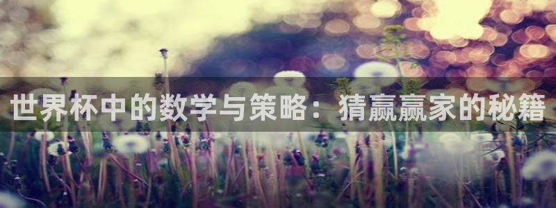 2026年世界杯时间表:世界杯中的数学与策略:猜赢赢家的秘籍
