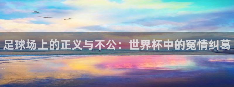 足球世界杯预选赛:足球场上的正义与不公:世界杯中的冤情纠葛