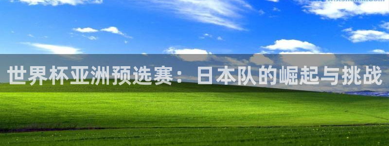 足球世界杯时间:世界杯亚洲预选赛:日本队的崛起与挑战