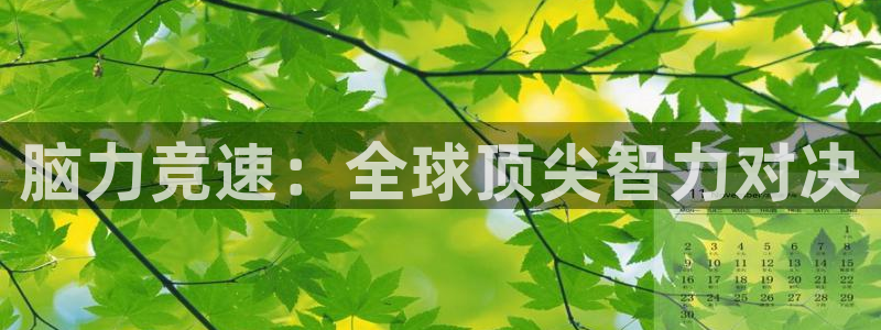 2026世界杯德国队阵容:脑力竞速:全球顶尖智力对决