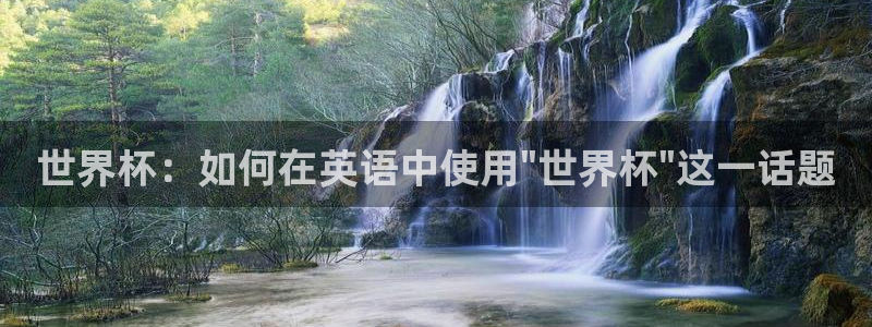 法国杯2026赛程表:世界杯:如何在英语中使用\